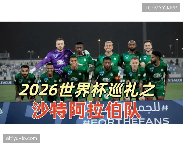 沙特世界杯H组完整前瞻与预测